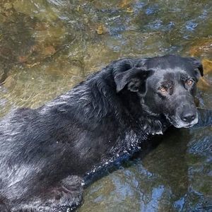 Meet your Posher, Wendy